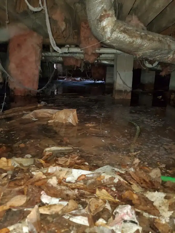 Crawl space flood assessment for Leak Detection & Repair in Red Bluff